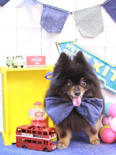 20230416レオンくん